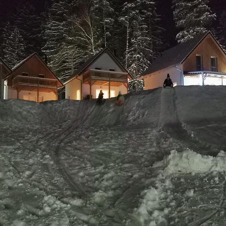 Lipno-Lake Фримбурк Экстерьер фото
