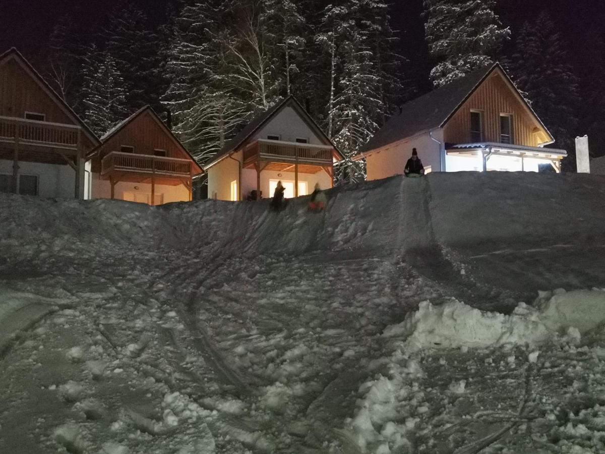 Lipno-Lake Фримбурк Экстерьер фото